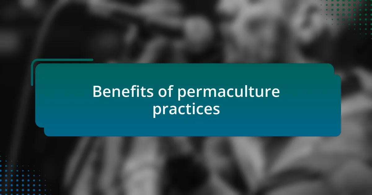 Benefits of permaculture practices