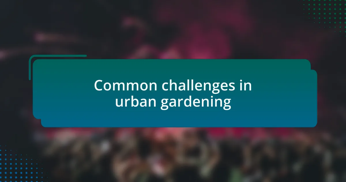 Common challenges in urban gardening