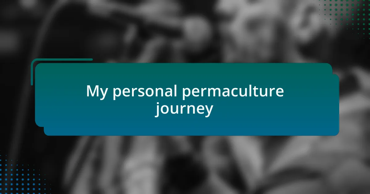 My personal permaculture journey